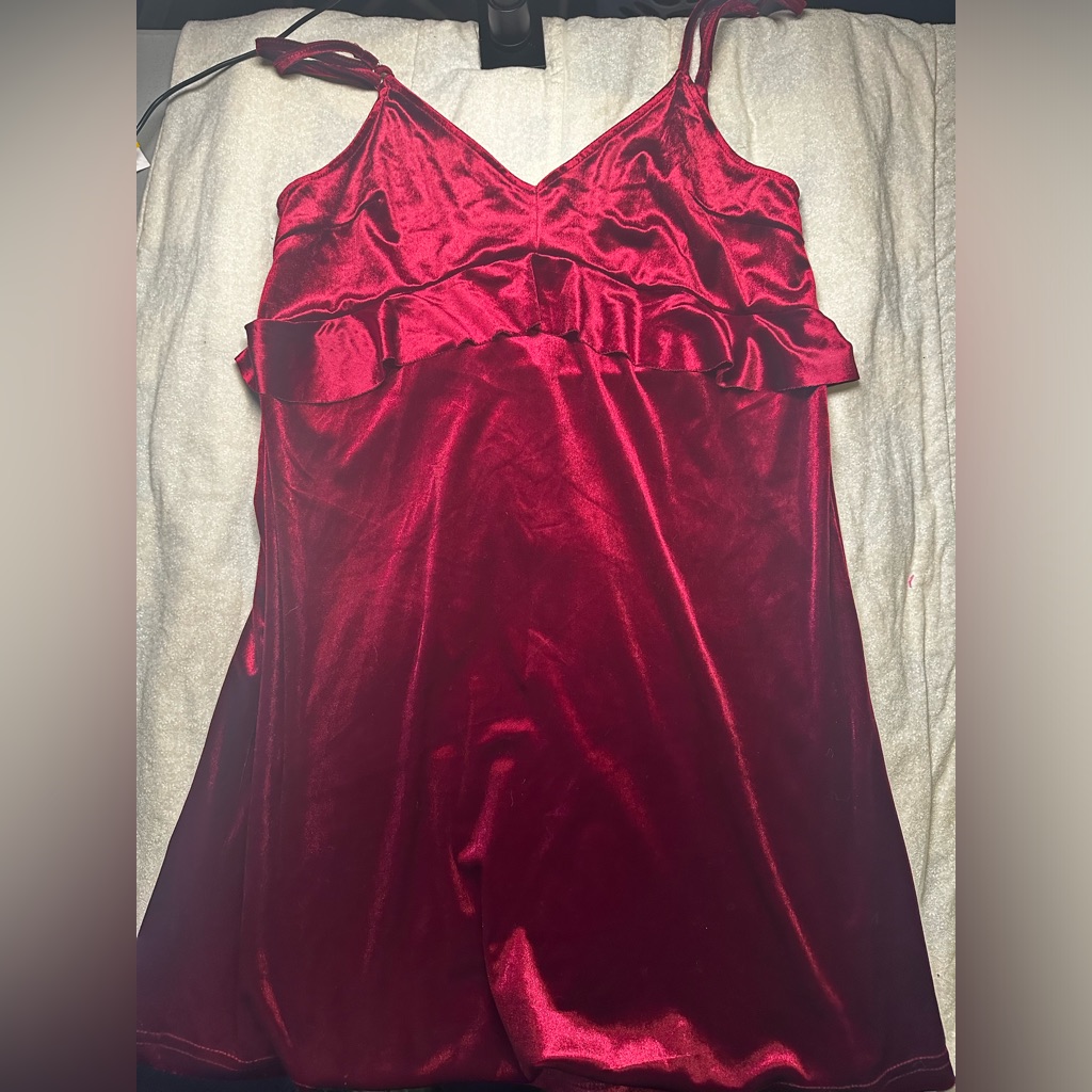 Vestique Rich Burgundy Velvet Dress